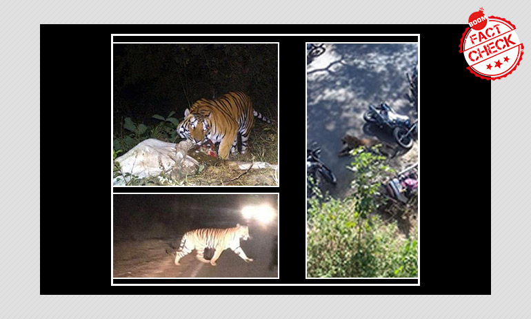 এই ছবিগুলি ঝাড়গ্রাম জঙ্গলে বাঘের কীর্তি নয় এই ছবিগুলি ঝাড়গ্রাম জঙ্গলে বাঘের কীর্তি নয়