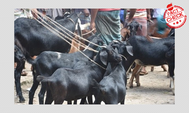 তারাপীঠে করোনাভাইরাস? ভাইরাল হল ছাগলের মাংস নিয়ে ভুয়ো আতঙ্কের বার্তা তারাপীঠে করোনাভাইরাস? ভাইরাল হল ছাগলের মাংস নিয়ে ভুয়ো আতঙ্কের বার্তা