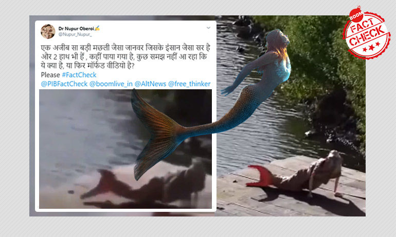 মৎস্যকন্যা মিললো বলে শেয়ার হল অ্যানিমেশন ভিডিও মৎস্যকন্যা মিললো বলে শেয়ার হল অ্যানিমেশন ভিডিও
