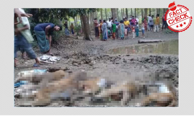 বাংলাদেশে বিষ প্রয়োগে বানর হত্যার ছবি ভারতে সাম্প্রদায়িক রং সহ ছড়ালো বাংলাদেশে বিষ প্রয়োগে বানর হত্যার ছবি ভারতে সাম্প্রদায়িক রং সহ ছড়ালো