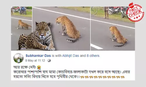 করোনা আতঙ্কে নয়া দোসর ফালাকাটার বাঘ, বিভ্রান্তির মূলে পুরনো ছবি-ভিডিও করোনা আতঙ্কে নয়া দোসর ফালাকাটার বাঘ, বিভ্রান্তির মূলে পুরনো ছবি-ভিডিও