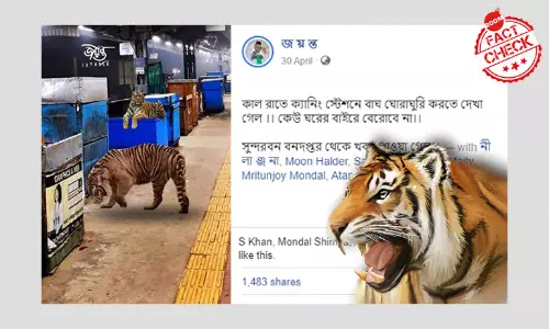 ক্যানিং স্টেশন চত্বরে বাঘ? ছড়ালো সম্পাদিত ছবি ক্যানিং স্টেশন চত্বরে বাঘ? ছড়ালো সম্পাদিত ছবি