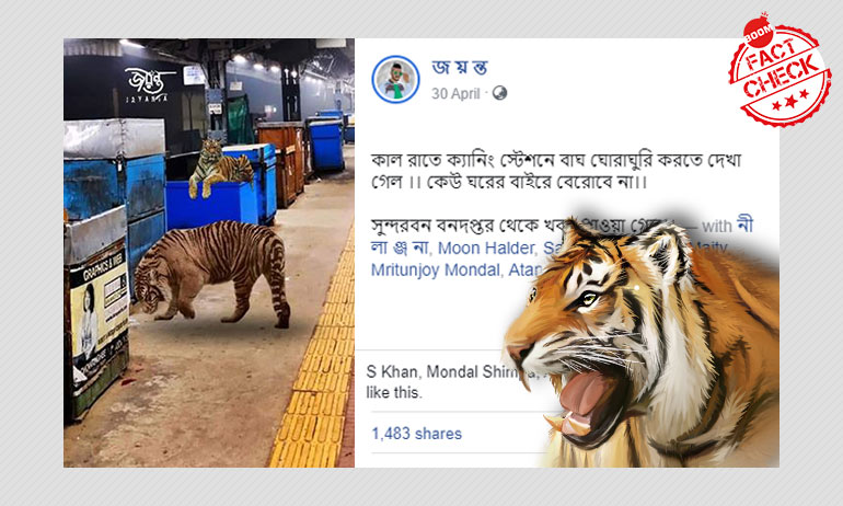 ক্যানিং স্টেশন চত্বরে বাঘ? ছড়ালো সম্পাদিত ছবি ক্যানিং স্টেশন চত্বরে বাঘ? ছড়ালো সম্পাদিত ছবি