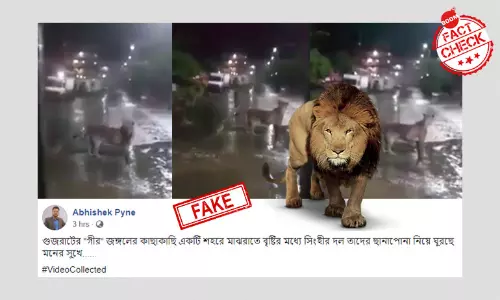 গির অরণ্য সংলগ্ন এলাকায় সিংহ ঘোরাঘুরির ভিডিওটি পুরনো