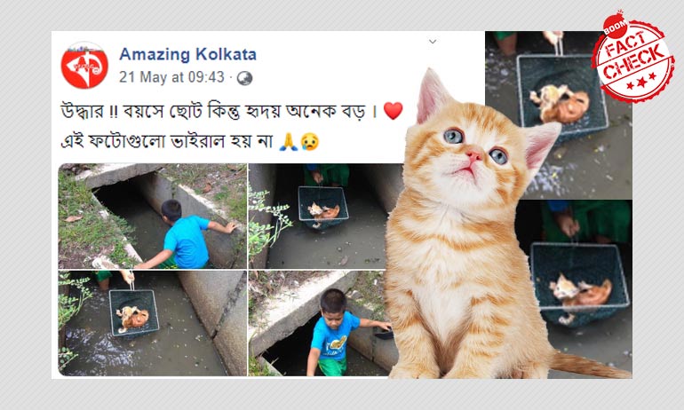 নালা থেকে বিড়াল ছানা উদ্ধার করা বালকের ছবি আমপানের সঙ্গে সম্পর্কিত নয় নালা থেকে বিড়াল ছানা উদ্ধার করা বালকের ছবি আমপানের সঙ্গে সম্পর্কিত নয়