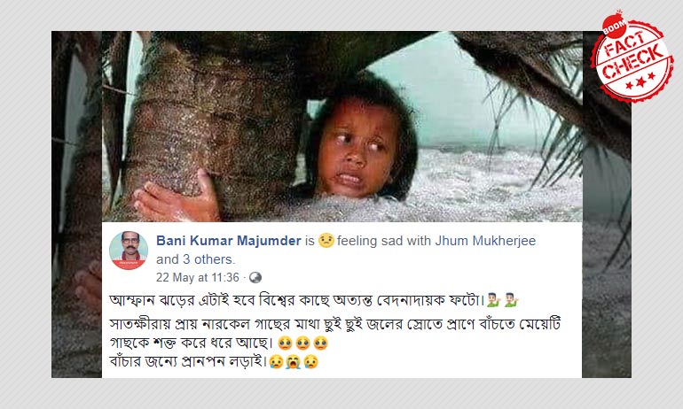 গাছ আঁকড়ে বাচ্চা মেয়ের বাঁচতে চাওয়ার ছবিটি আমপানের সঙ্গে সম্পর্কিত নয় গাছ আঁকড়ে বাচ্চা মেয়ের বাঁচতে চাওয়ার ছবিটি আমপানের সঙ্গে সম্পর্কিত নয়