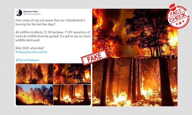 উত্তরাখণ্ডের অরণ্যে দাবানল বলে ছড়ালো পুরনো ছবি উত্তরাখণ্ডের অরণ্যে দাবানল বলে ছড়ালো পুরনো ছবি