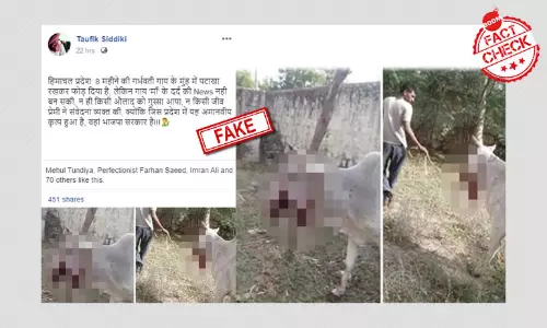 না, এটি হিমাচলপ্রদেশে আহত হওয়া গরুর ছবি নয় না, এটি হিমাচলপ্রদেশে আহত হওয়া গরুর ছবি নয়
