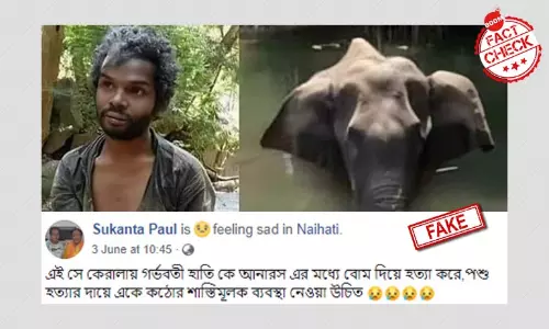 সম্পর্কহীন ছবি ছড়িয়ে বলা হল যুবকটি গর্ভবতী হস্তিনীর হত্যাকারী সম্পর্কহীন ছবি ছড়িয়ে বলা হল যুবকটি গর্ভবতী হস্তিনীর হত্যাকারী