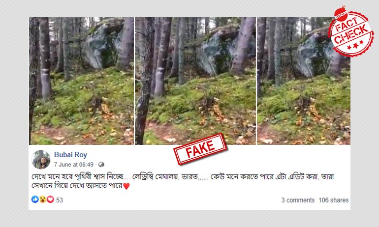 ২০১৮ তে কানাডায় গাছের শ্বাস নেওয়ার ঘটনাকে মেঘালয়ের ভিডিও বলা হল ২০১৮ তে কানাডায় গাছের শ্বাস নেওয়ার ঘটনাকে মেঘালয়ের ভিডিও বলা হল