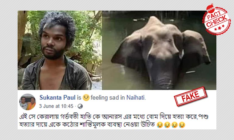 সম্পর্কহীন ছবি ছড়িয়ে বলা হল যুবকটি গর্ভবতী হস্তিনীর হত্যাকারী সম্পর্কহীন ছবি ছড়িয়ে বলা হল যুবকটি গর্ভবতী হস্তিনীর হত্যাকারী