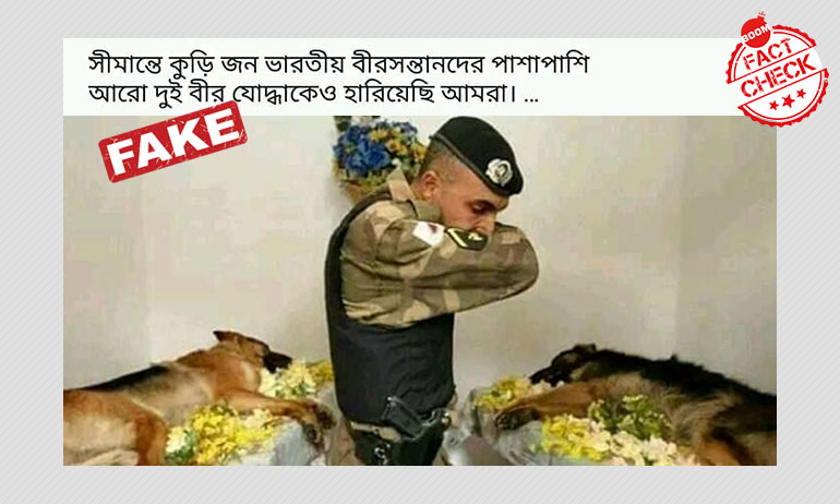 ব্রাজিলে ডাকাতের হাতে নিহত কুকুরকে ভারত-চিন সংঘর্ষের সঙ্গে জোড়া হল ব্রাজিলে ডাকাতের হাতে নিহত কুকুরকে ভারত-চিন সংঘর্ষের সঙ্গে জোড়া হল