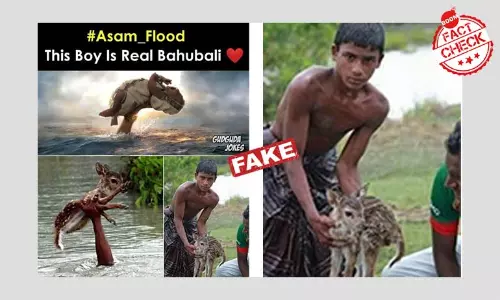 অসমের বাহুবলী? বালকের ডুবন্ত হরিণ ছানা উদ্ধারের ছবিগুলি বাংলাদেশের অসমের বাহুবলী? বালকের ডুবন্ত হরিণ ছানা উদ্ধারের ছবিগুলি বাংলাদেশের