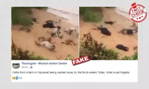 মেক্সিকোয় বন্যাতে গরু ভেসে যাওয়ার ভিডিওকে কেরলের ঘটনা বলা হল মেক্সিকোয় বন্যাতে গরু ভেসে যাওয়ার ভিডিওকে কেরলের ঘটনা বলা হল