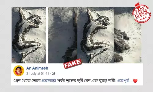 আলাস্কা পর্বতশৃঙ্গে প্লেন থেকে তোলা ঘুমন্ত নারী? না, নিছক শিল্প আলাস্কা পর্বতশৃঙ্গে প্লেন থেকে তোলা ঘুমন্ত নারী? না, নিছক শিল্প