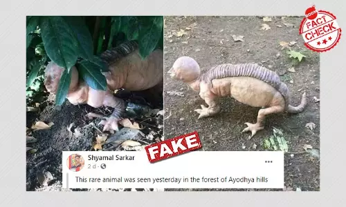 ইতালির শিল্পীর সিলিকন ভাস্কর্যকে অযোধ্যা পাহাড়ের বিরল প্রাণী বলা হল ইতালির শিল্পীর সিলিকন ভাস্কর্যকে অযোধ্যা পাহাড়ের বিরল প্রাণী বলা হল