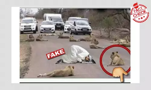 রাস্তায় সিংহদের মাঝে মুসলিম ব্যক্তির নামাজ পড়ার ছবিটি সম্পাদিত রাস্তায় সিংহদের মাঝে মুসলিম ব্যক্তির নামাজ পড়ার ছবিটি সম্পাদিত