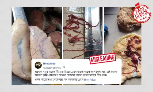 বিভ্রান্তিকর দাবি সহ ছড়াল মাছের ডিমে নিমাটোডস সংক্রমণের পুরনো ছবি বিভ্রান্তিকর দাবি সহ ছড়াল মাছের ডিমে নিমাটোডস সংক্রমণের পুরনো ছবি