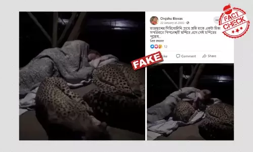 রাজস্থানে পুরোহিতের সাথে চিতার সখ্যতা বলে জিইয়ে উঠল আফ্রিকার ভিডিও রাজস্থানে পুরোহিতের সাথে চিতার সখ্যতা বলে জিইয়ে উঠল আফ্রিকার ভিডিও