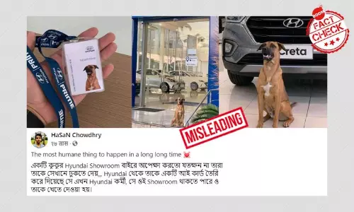 Brazil-এ শারমেয় Hyundai শোরুমে বিপনন কর্মী? না তা ঠিক নয় Brazil-এ শারমেয় Hyundai শোরুমে বিপনন কর্মী? না তা ঠিক নয়