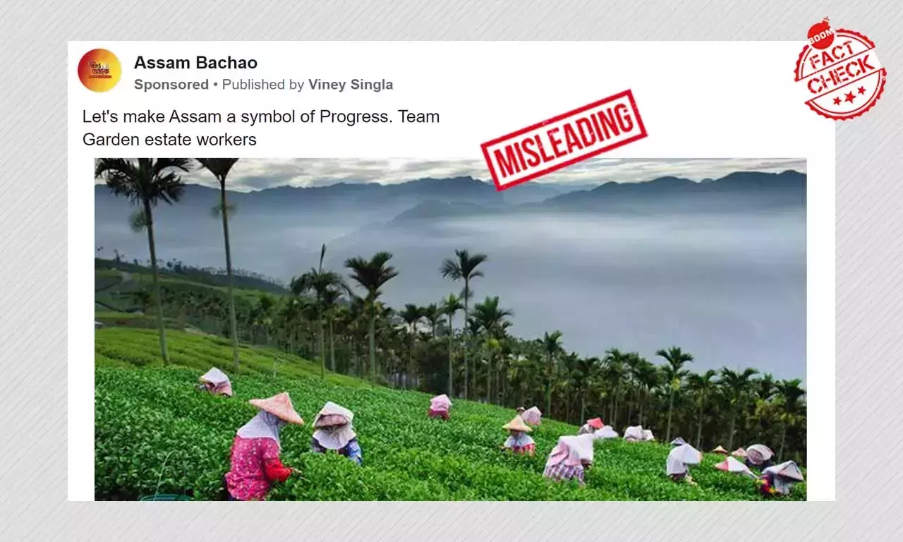 কংগ্রেস তাইওয়ানের চা বাগিচার ছবি ছড়াল অসমের বলে কংগ্রেস তাইওয়ানের চা বাগিচার ছবি ছড়াল অসমের বলে