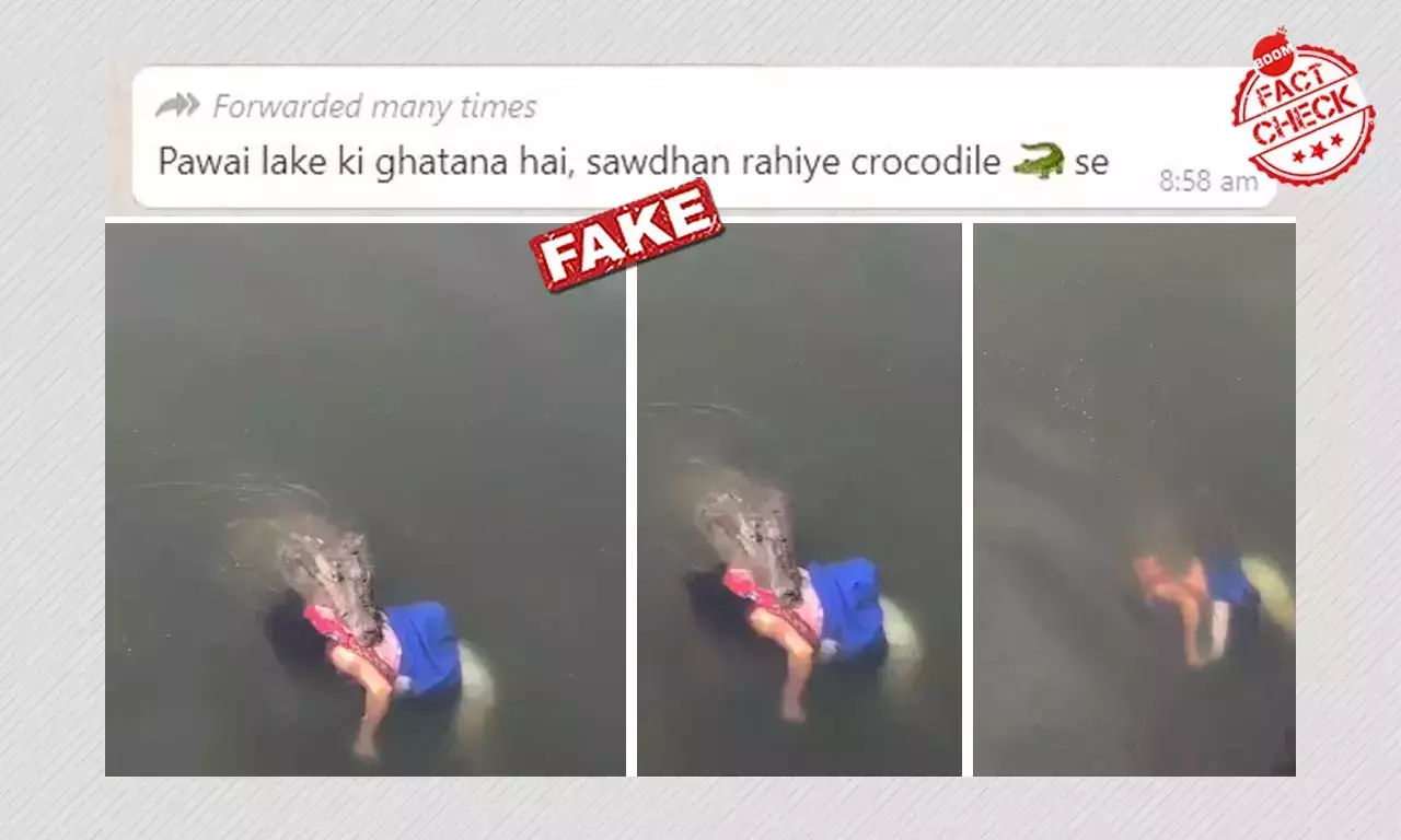 মেক্সিকোয় কুমীরের কামড়ে মহিলার মৃত্যুর ভিডিও ছড়াল ভারতের বলে মেক্সিকোয় কুমীরের কামড়ে মহিলার মৃত্যুর ভিডিও ছড়াল ভারতের বলে