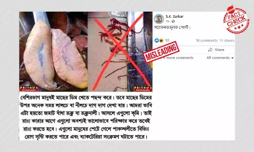 বিভ্রান্তিকর দাবি সহ ফের ছড়াল মাছের ডিমে নিমাটোডস সংক্রমণের পুরনো ছবি বিভ্রান্তিকর দাবি সহ ফের ছড়াল মাছের ডিমে নিমাটোডস সংক্রমণের পুরনো ছবি