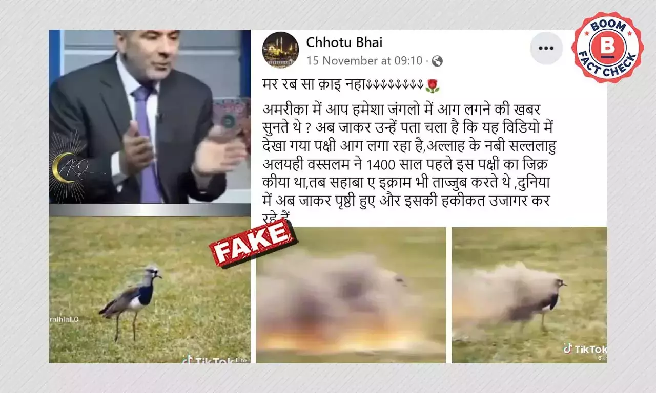 আমেরিকার দাবানলের সঙ্গে ভুয়ো দাবিতে জুড়ল কম্পিটারে তৈরি পাখির ভিডিও আমেরিকার দাবানলের সঙ্গে ভুয়ো দাবিতে জুড়ল কম্পিটারে তৈরি পাখির ভিডিও