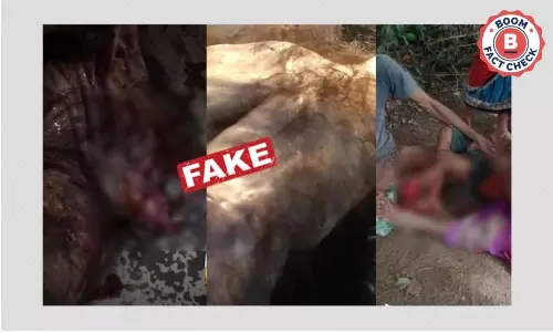 সিনেমার জন্য তৈরি নকল জন্তুর ভিডিও ভাল্লুক হানার আতঙ্ক ছড়াচ্ছে বাংলায় সিনেমার জন্য তৈরি নকল জন্তুর ভিডিও ভাল্লুক হানার আতঙ্ক ছড়াচ্ছে বাংলায়