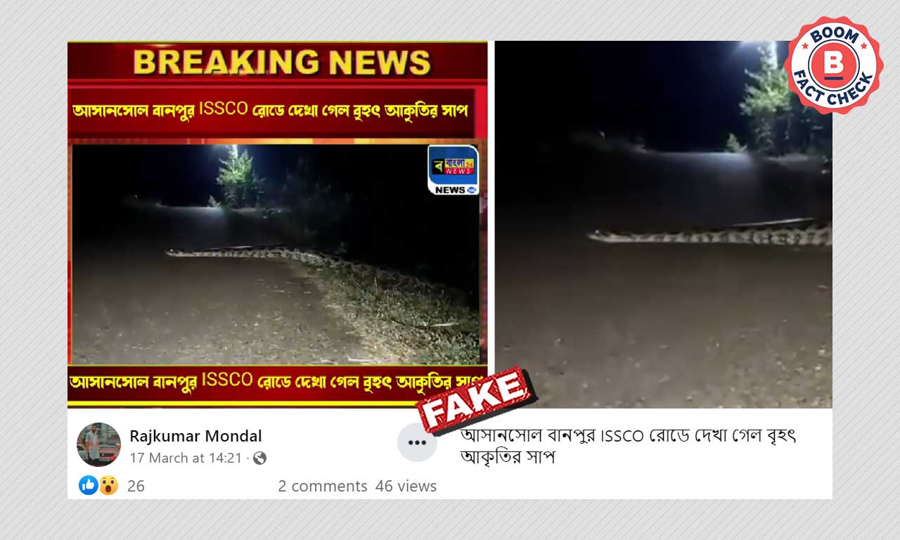 Python Crossing Road Video From Karnataka Falsely Shared As Asansol ...