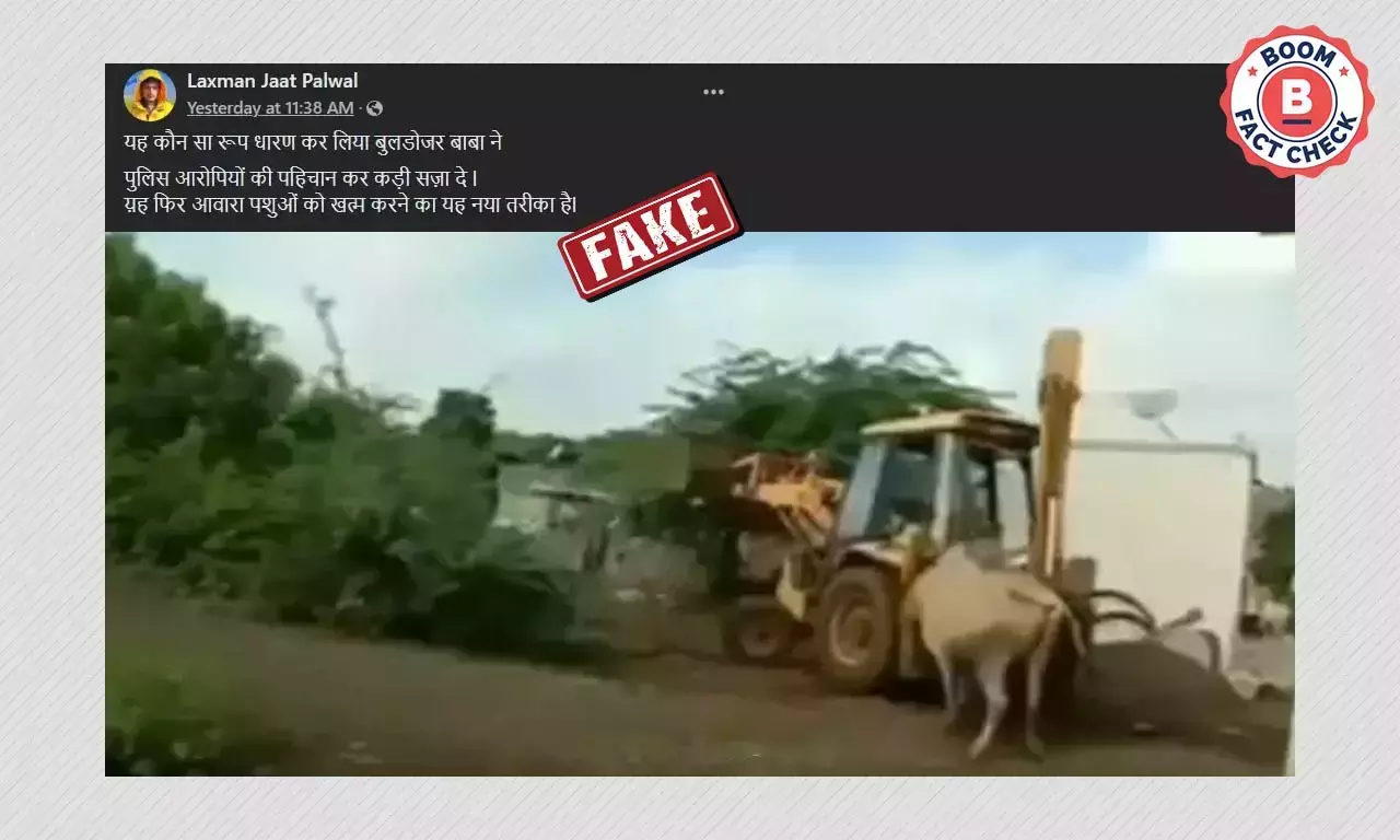 মহারাষ্ট্রে জেসিবি দিয়ে ষাঁড় নিকেশের ভিডিও উত্তরপ্রদেশের বলে ছড়াল মহারাষ্ট্রে জেসিবি দিয়ে ষাঁড় নিকেশের ভিডিও উত্তরপ্রদেশের বলে ছড়াল