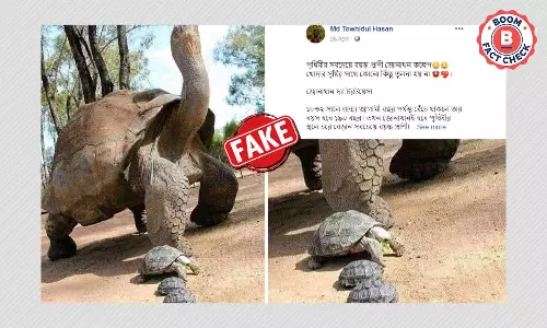 না, ভাইরাল ছবি পৃথিবীর সবচেয়ে বয়স্ক জীবিত প্রাণী ১৯০ বছরের জোনাথন নয় না, ভাইরাল ছবি পৃথিবীর সবচেয়ে বয়স্ক জীবিত প্রাণী ১৯০ বছরের জোনাথন নয়