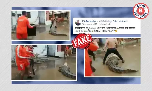 বন্যায় অসমের হাইলাকান্দিতে লোকালয়ে কুমির ভুয়ো দাবিতে ছড়াল গুজরাতের ভিডিও বন্যায় অসমের হাইলাকান্দিতে লোকালয়ে কুমির ভুয়ো দাবিতে ছড়াল গুজরাতের ভিডিও