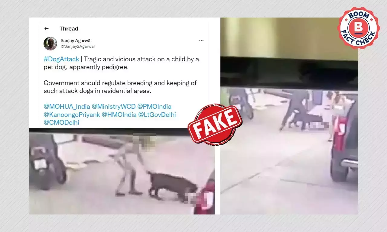 ভারতের ঘটনা বলে ছড়াল তাইল্যান্ডে শিশুকে কুকুর আক্রমণের ভিডিও ভারতের ঘটনা বলে ছড়াল তাইল্যান্ডে শিশুকে কুকুর আক্রমণের ভিডিও