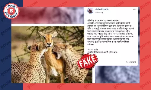 শিকারের এই ছবি তুলে অবসাদগ্রস্ত হয়ে পড়ার দাবিটি খণ্ডন করেন চিত্রগ্রাহক শিকারের এই ছবি তুলে অবসাদগ্রস্ত হয়ে পড়ার দাবিটি খণ্ডন করেন চিত্রগ্রাহক