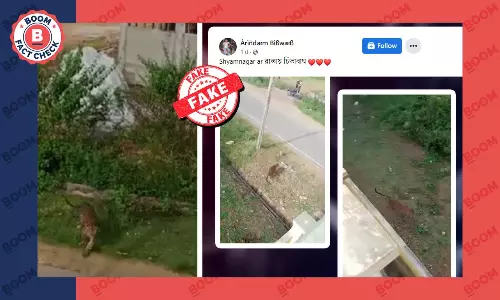 মহীশূরের রাস্তায় চিতাবাঘের ভিডিও ভুয়ো দাবিতে পশ্চিমবঙ্গের বলে ছড়াল মহীশূরের রাস্তায় চিতাবাঘের ভিডিও ভুয়ো দাবিতে পশ্চিমবঙ্গের বলে ছড়াল