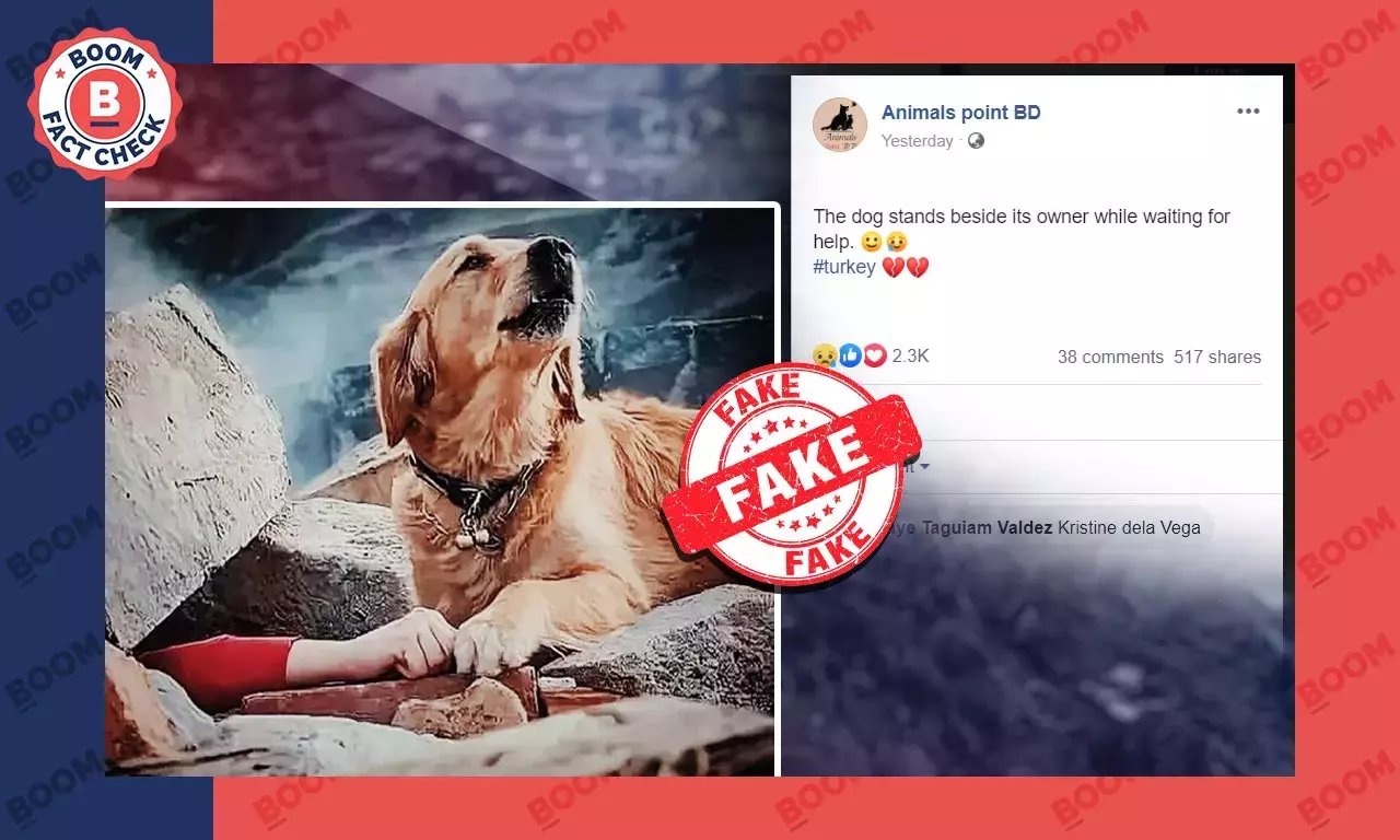 নিথর প্রভুর পাশে প্রিয় পোষ্য, ছবিটি তুরস্কের সাম্প্রতিক ভূমিকম্পের নয় নিথর প্রভুর পাশে প্রিয় পোষ্য, ছবিটি তুরস্কের সাম্প্রতিক ভূমিকম্পের নয়
