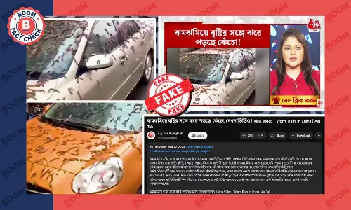 আজতক বাংলা চিনে কেঁচোর বৃষ্টি বলে দেখাল ফুলের মঞ্জরী খসে পড়ার দৃশ্য আজতক বাংলা চিনে কেঁচোর বৃষ্টি বলে দেখাল ফুলের মঞ্জরী খসে পড়ার দৃশ্য