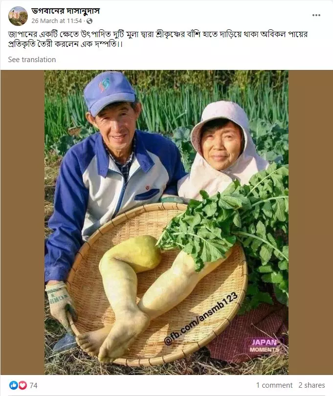 Twin Legs Shaped Radish Sculpture By Japanese Artist Shared With False