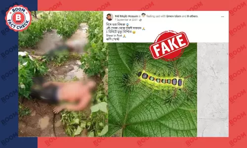 না, ছবিতে দেখতে পাওয়া ব্যক্তিরা বিষাক্ত পোকার কারণে প্রাণ হারাননি না, ছবিতে দেখতে পাওয়া ব্যক্তিরা বিষাক্ত পোকার কারণে প্রাণ হারাননি