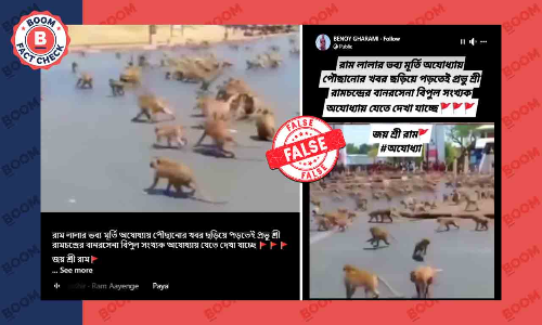 থাইল্যান্ডের বাঁদরদের ধস্তাধস্তির ভিডিও অযোধ্যার দৃশ্য হিসেবে ছড়াল থাইল্যান্ডের বাঁদরদের ধস্তাধস্তির ভিডিও অযোধ্যার দৃশ্য হিসেবে ছড়াল