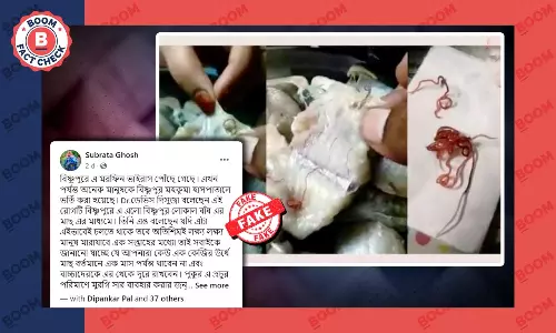 মাছে মরফিন ভাইরাসের পুরনো গুজব ফের ভাইরাল সোশ্যাল মিডিয়ায় মাছে মরফিন ভাইরাসের পুরনো গুজব ফের ভাইরাল সোশ্যাল মিডিয়ায়