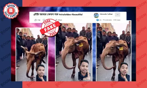গরুর মুখে হাতির শুঁড় বিশিষ্ট প্রাণীটি AI প্রযুক্তির সাহায্যে তৈরি গরুর মুখে হাতির শুঁড় বিশিষ্ট প্রাণীটি AI প্রযুক্তির সাহায্যে তৈরি