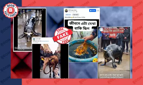 গরুর মাথায় হাতির শুঁড়, বাঘের মাথা মাছে: AI এর দৌলতে ভাইরাল কৃত্রিম ভিডিও গরুর মাথায় হাতির শুঁড়, বাঘের মাথা মাছে: AI এর দৌলতে ভাইরাল কৃত্রিম ভিডিও