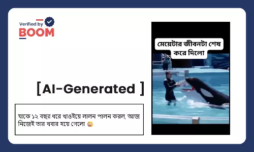 ওরকা প্রশিক্ষকের মর্মান্তিক পরিণতি বলে ছড়াল AI-এর তৈরি কাল্পনিক দৃশ্য ওরকা প্রশিক্ষকের মর্মান্তিক পরিণতি বলে ছড়াল AI-এর তৈরি কাল্পনিক দৃশ্য