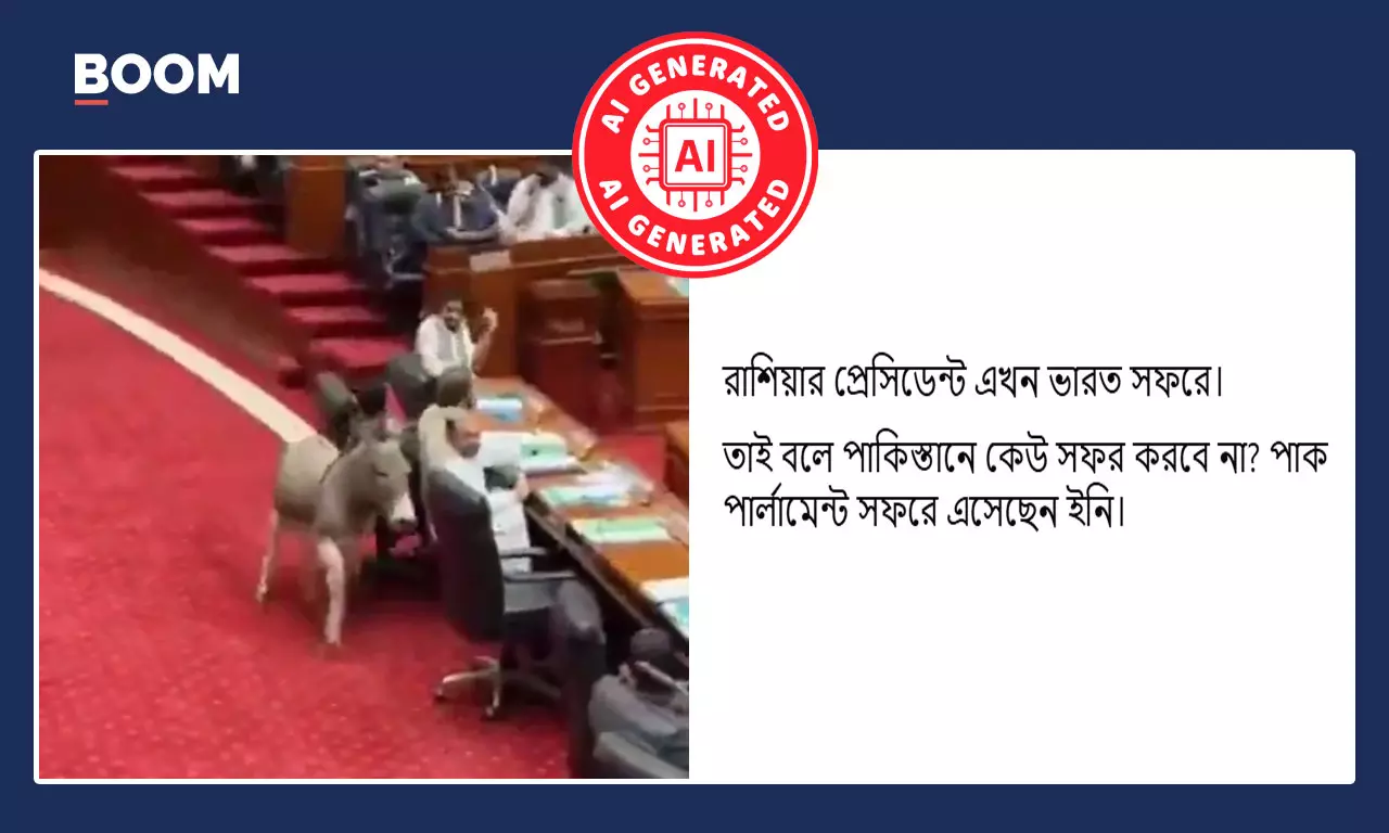 পাক পার্লামেন্টে অধিবেশনের মাঝে গাধা ঢুকে পড়ার AI ভিডিও আসল বলে ভাইরাল