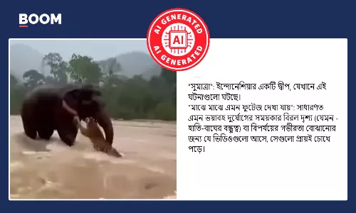 ইন্দোনেশিয়ার সুমাত্রার বন্যায় বাঘকে রক্ষা করল হাতি বলে ভাইরাল AI ভিডিও