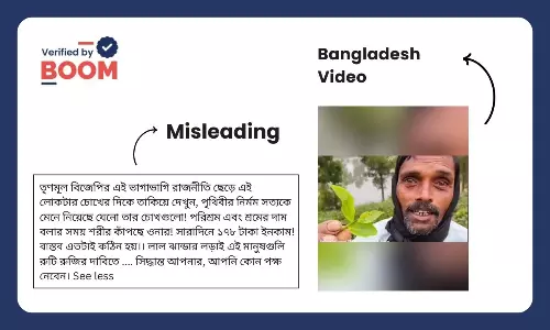দৈনিক ১৭৮ টাকা মজুরি, ৮ ঘন্টা করে খাটনি: ভিডিওটি বাংলাদেশের চা-শ্রমিকের