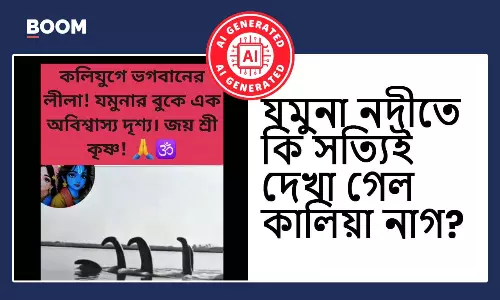 যমুনা নদীতে হঠাৎ কালীয় নাগ দর্শন বলে ভাইরাল AI নির্মিত ভিডিও